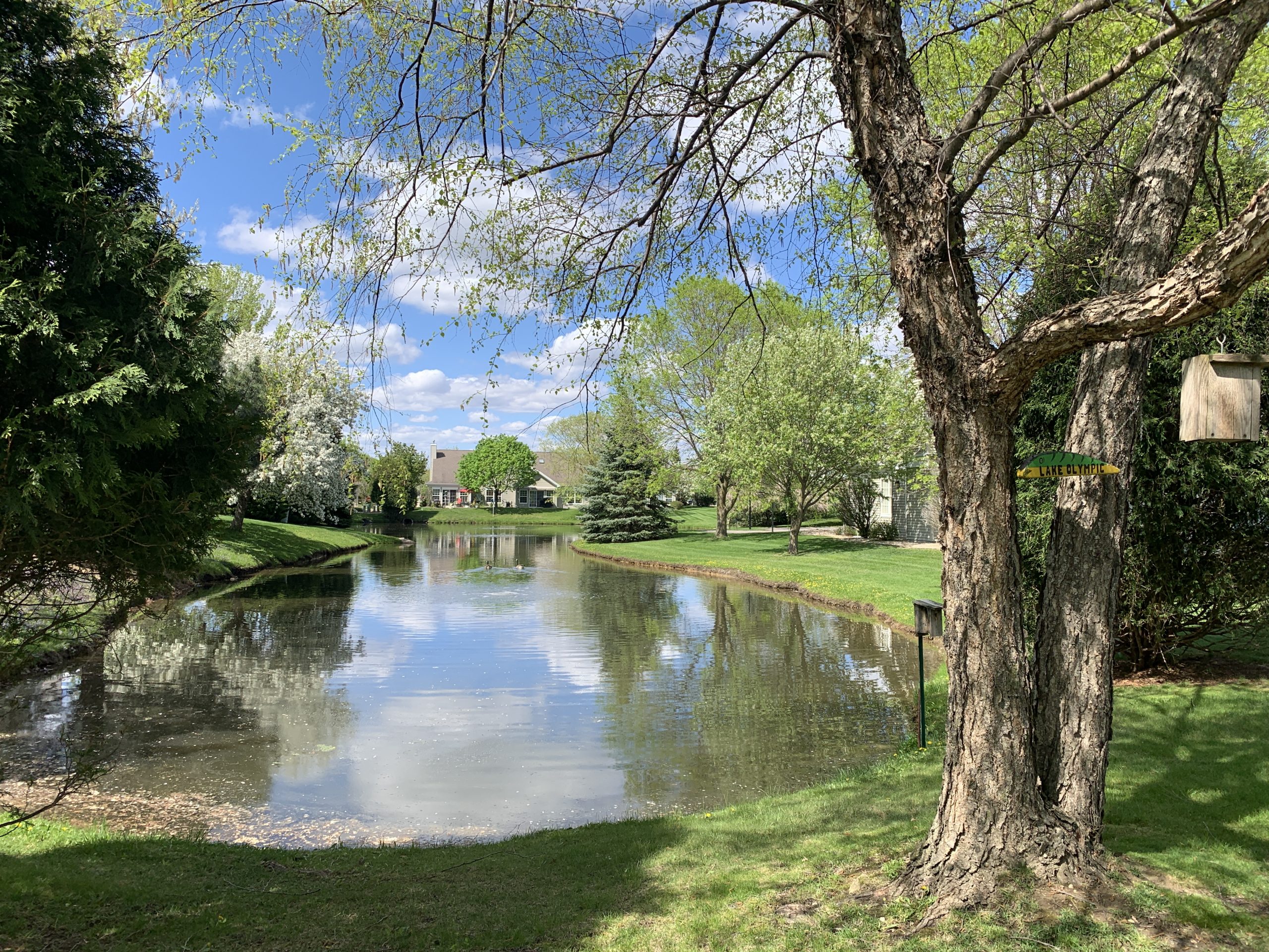 OV end of pond – early spring